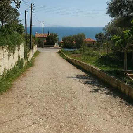 Bay Of Palio