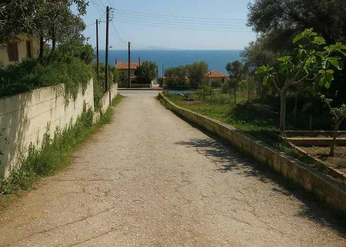 Bay Of Palio